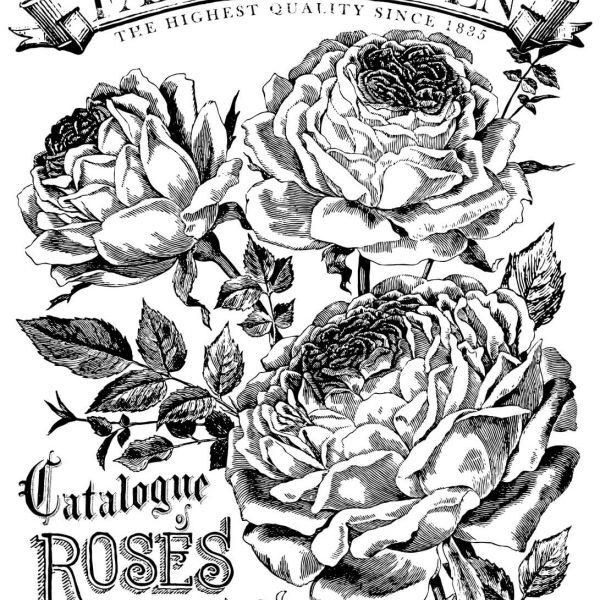 CATALOGUE-OF-ROSES-24C39733-PAINTABLEE284A2-DECOR-TRANSFERE284A2-600x825-2-600x600.jpg