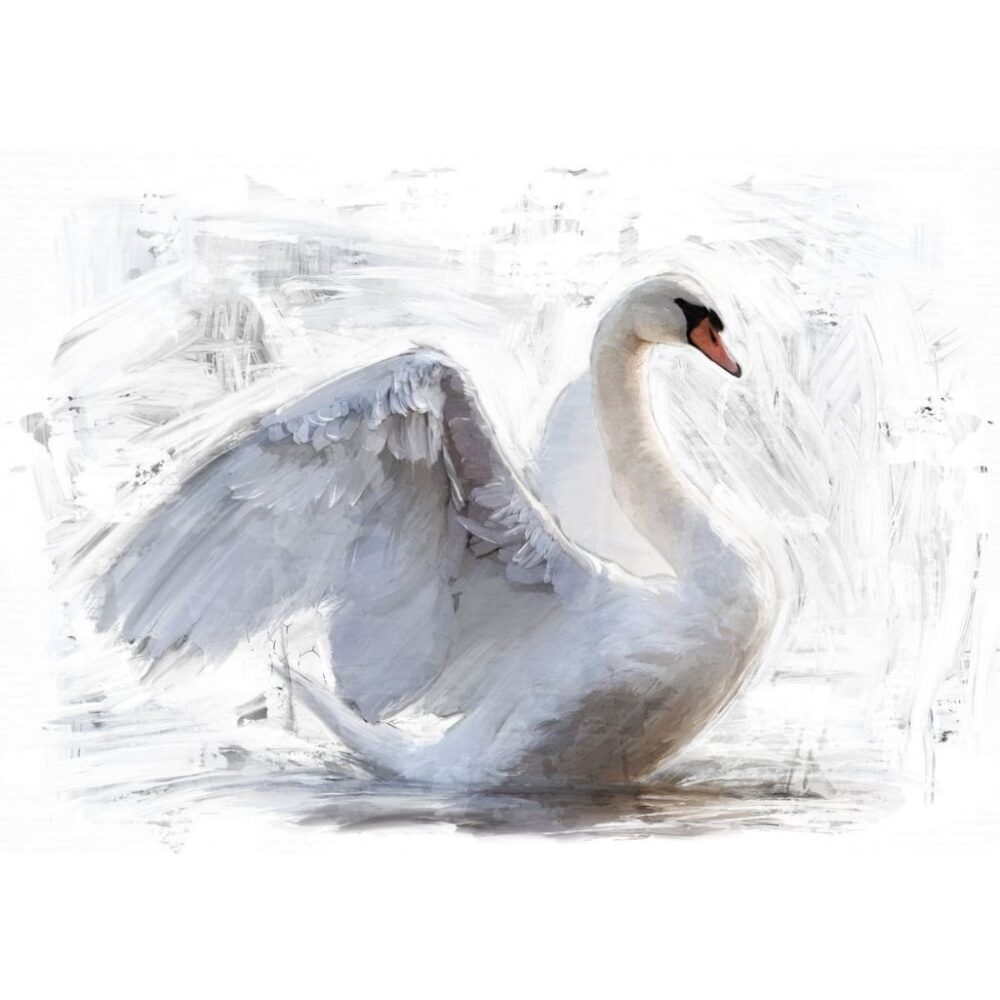 Reverse Swan - Marianthi Karta