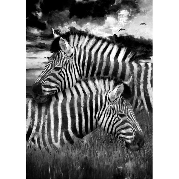 Zebra_5000x-600x600.jpg