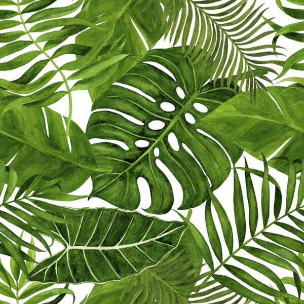 green-leaves-mint-tissue-paper-1-600x600.jpg