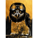 owl-1-150x150.jpg