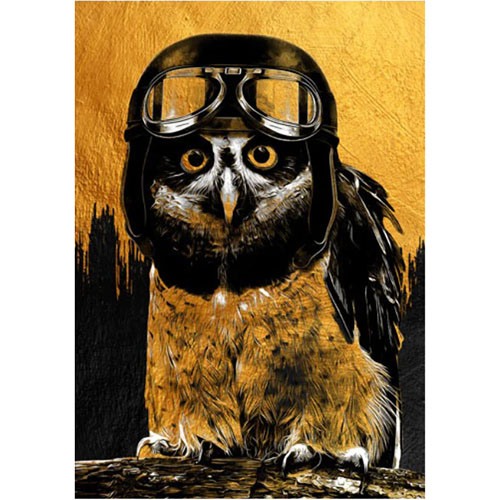 owl-1.jpg